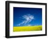 USA, Washington State, Palouse Region. Spring Canola field-Terry Eggers-Framed Photographic Print