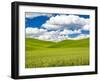 USA, Washington State, Palouse Region. Spring wheat field with Puffy clouds-Terry Eggers-Framed Photographic Print