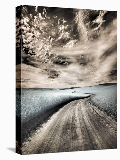 USA, Washington State, Palouse region, winding backcountry road through wheat fields-Terry Eggers-Stretched Canvas