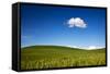 USA, Washington State, Palouse. Rolling Hills Covered by Wheat Fields-Terry Eggers-Framed Stretched Canvas