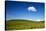 USA, Washington State, Palouse. Rolling Hills Covered by Wheat Fields-Terry Eggers-Stretched Canvas