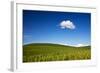 USA, Washington State, Palouse. Rolling Hills Covered by Wheat Fields-Terry Eggers-Framed Photographic Print