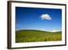 USA, Washington State, Palouse. Rolling Hills Covered by Wheat Fields-Terry Eggers-Framed Photographic Print