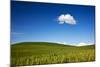USA, Washington State, Palouse. Rolling Hills Covered by Wheat Fields-Terry Eggers-Mounted Photographic Print