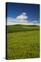 USA, Washington State, Palouse. Rolling Hills Covered by Wheat Fields-Terry Eggers-Stretched Canvas