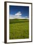 USA, Washington State, Palouse. Rolling Hills Covered by Wheat Fields-Terry Eggers-Framed Photographic Print