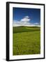 USA, Washington State, Palouse. Rolling Hills Covered by Wheat Fields-Terry Eggers-Framed Photographic Print