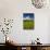 USA, Washington State, Palouse. Rolling Hills Covered by Wheat Fields-Terry Eggers-Mounted Photographic Print displayed on a wall