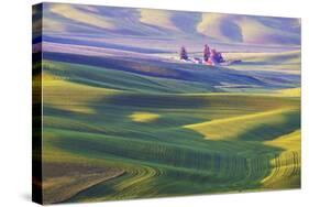 USA, Washington State, Palouse. Rolling Hills Covered by Wheat Fields-Terry Eggers-Stretched Canvas