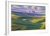 USA, Washington State, Palouse. Rolling Hills Covered by Wheat Fields-Terry Eggers-Framed Photographic Print