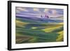 USA, Washington State, Palouse. Rolling Hills Covered by Wheat Fields-Terry Eggers-Framed Photographic Print