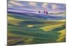 USA, Washington State, Palouse. Rolling Hills Covered by Wheat Fields-Terry Eggers-Mounted Photographic Print