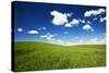 USA, Washington State, Palouse. Rolling Hills Covered by Wheat Fields-Terry Eggers-Stretched Canvas