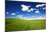 USA, Washington State, Palouse. Rolling Hills Covered by Wheat Fields-Terry Eggers-Mounted Photographic Print