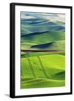 USA, Washington State, Palouse. Rolling Hills Covered by Wheat Fields-Terry Eggers-Framed Photographic Print