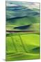 USA, Washington State, Palouse. Rolling Hills Covered by Wheat Fields-Terry Eggers-Mounted Photographic Print