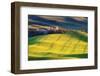 USA, Washington State, Palouse. Rolling Hills Covered by Wheat Fields-Terry Eggers-Framed Photographic Print