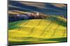 USA, Washington State, Palouse. Rolling Hills Covered by Wheat Fields-Terry Eggers-Mounted Photographic Print