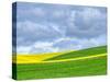 USA, Washington State, Palouse, Rolling hills of canola and wheat-Terry Eggers-Stretched Canvas