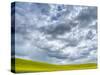 USA, Washington State, Palouse, Spring canola field with beautiful clouds-Terry Eggers-Stretched Canvas