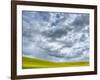 USA, Washington State, Palouse, Spring canola field with beautiful clouds-Terry Eggers-Framed Photographic Print