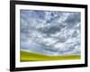 USA, Washington State, Palouse, Spring canola field with beautiful clouds-Terry Eggers-Framed Photographic Print