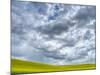 USA, Washington State, Palouse, Spring canola field with beautiful clouds-Terry Eggers-Mounted Photographic Print