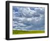 USA, Washington State, Palouse, Spring canola field with beautiful clouds-Terry Eggers-Framed Photographic Print