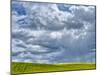 USA, Washington State, Palouse, Spring canola field with beautiful clouds-Terry Eggers-Mounted Photographic Print