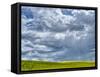 USA, Washington State, Palouse, Spring canola field with beautiful clouds-Terry Eggers-Framed Stretched Canvas