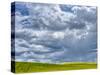 USA, Washington State, Palouse, Spring canola field with beautiful clouds-Terry Eggers-Stretched Canvas