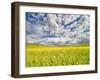 USA, Washington State, Palouse, Spring canola field with beautiful clouds-Terry Eggers-Framed Photographic Print