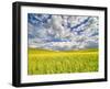 USA, Washington State, Palouse, Spring canola field with beautiful clouds-Terry Eggers-Framed Photographic Print