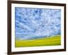 USA, Washington State, Palouse, Spring canola field with beautiful clouds-Terry Eggers-Framed Photographic Print