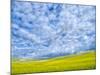 USA, Washington State, Palouse, Spring canola field with beautiful clouds-Terry Eggers-Mounted Photographic Print