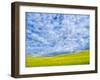 USA, Washington State, Palouse, Spring canola field with beautiful clouds-Terry Eggers-Framed Photographic Print