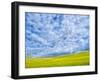 USA, Washington State, Palouse, Spring canola field with beautiful clouds-Terry Eggers-Framed Photographic Print