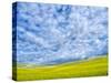 USA, Washington State, Palouse, Spring canola field with beautiful clouds-Terry Eggers-Stretched Canvas