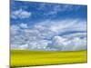 USA, Washington State, Palouse, Spring canola field with beautiful clouds-Terry Eggers-Mounted Photographic Print