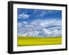 USA, Washington State, Palouse, Spring canola field with beautiful clouds-Terry Eggers-Framed Photographic Print