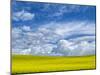 USA, Washington State, Palouse, Spring canola field with beautiful clouds-Terry Eggers-Mounted Photographic Print