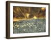 USA, Washington State, Palouse. Spring Poppies and Backcountry road through wheat field and clouds-Terry Eggers-Framed Photographic Print