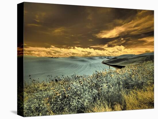 USA, Washington State, Palouse. Spring Poppies and Backcountry road through wheat field and clouds-Terry Eggers-Stretched Canvas