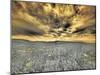 USA, Washington State, Palouse. Spring Poppies and wheat field and clouds-Terry Eggers-Mounted Photographic Print