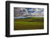 USA, Washington State, Palouse, Spring Rolling Hills of Wheat fields-Terry Eggers-Framed Photographic Print