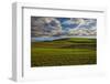 USA, Washington State, Palouse, Spring Rolling Hills of Wheat fields-Terry Eggers-Framed Photographic Print