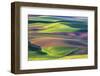 USA, Washington State, Palouse, Spring Rolling Hills of Wheat fields-Terry Eggers-Framed Photographic Print