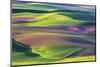 USA, Washington State, Palouse, Spring Rolling Hills of Wheat fields-Terry Eggers-Mounted Photographic Print