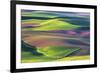 USA, Washington State, Palouse, Spring Rolling Hills of Wheat fields-Terry Eggers-Framed Premium Photographic Print