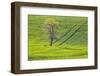 USA, Washington State, Palouse, Spring Rolling Hills of Wheat-Terry Eggers-Framed Photographic Print